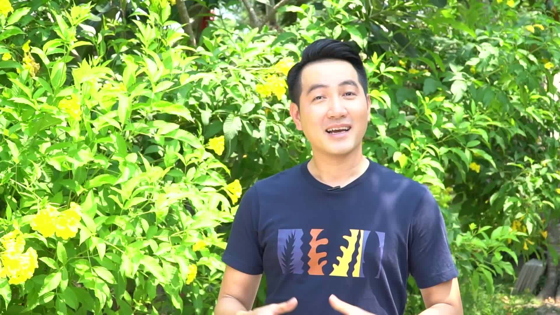 Nam ca sĩ Việt U50: Đẹp trai, sống chân thành, chưa vợ con, có biệt thự vườn 3.000 m2 tràn ngập cây xanh-5