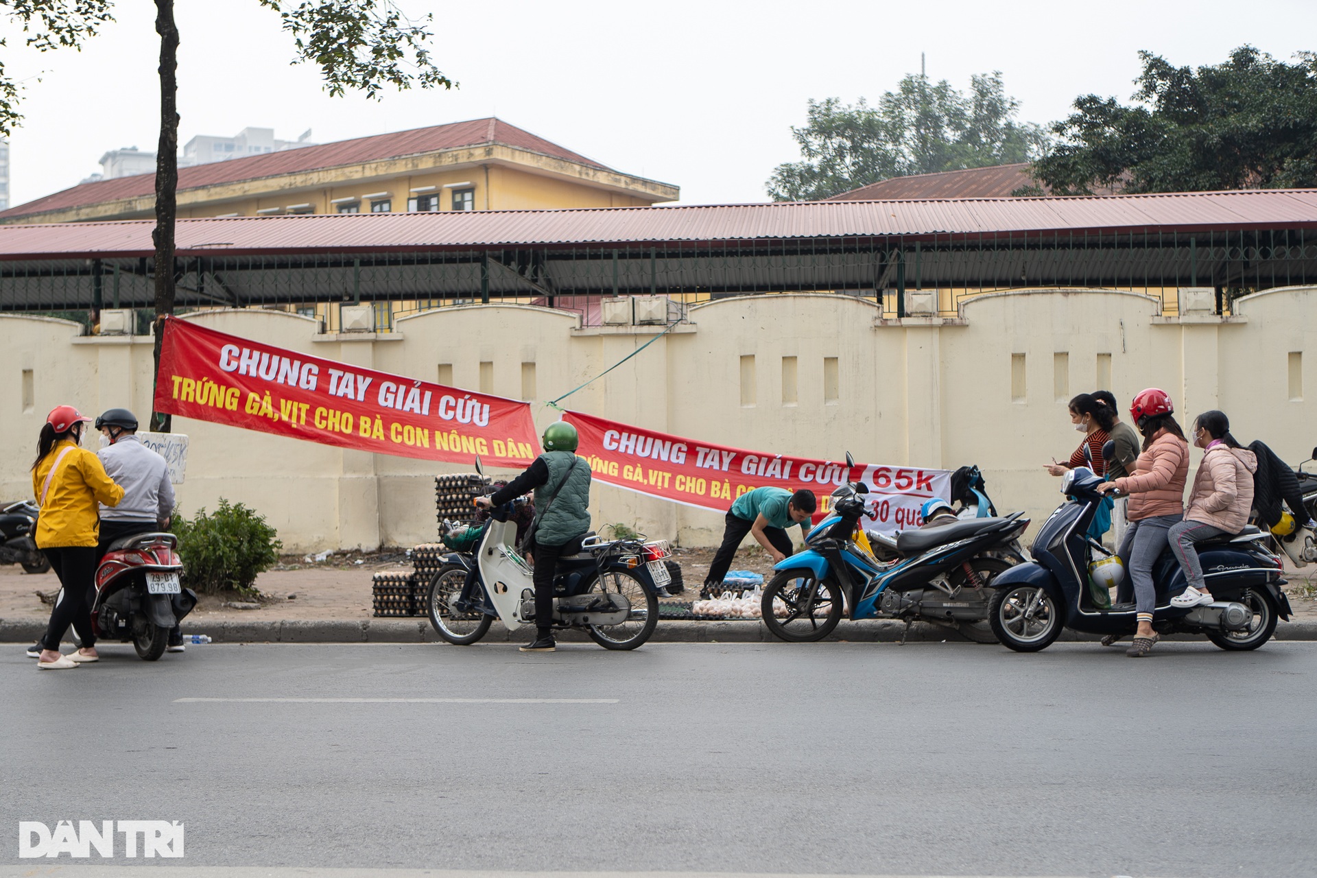 Sự thật chiêu giải cứu trứng gà giá siêu rẻ bán tràn vỉa hè Hà Nội - 8