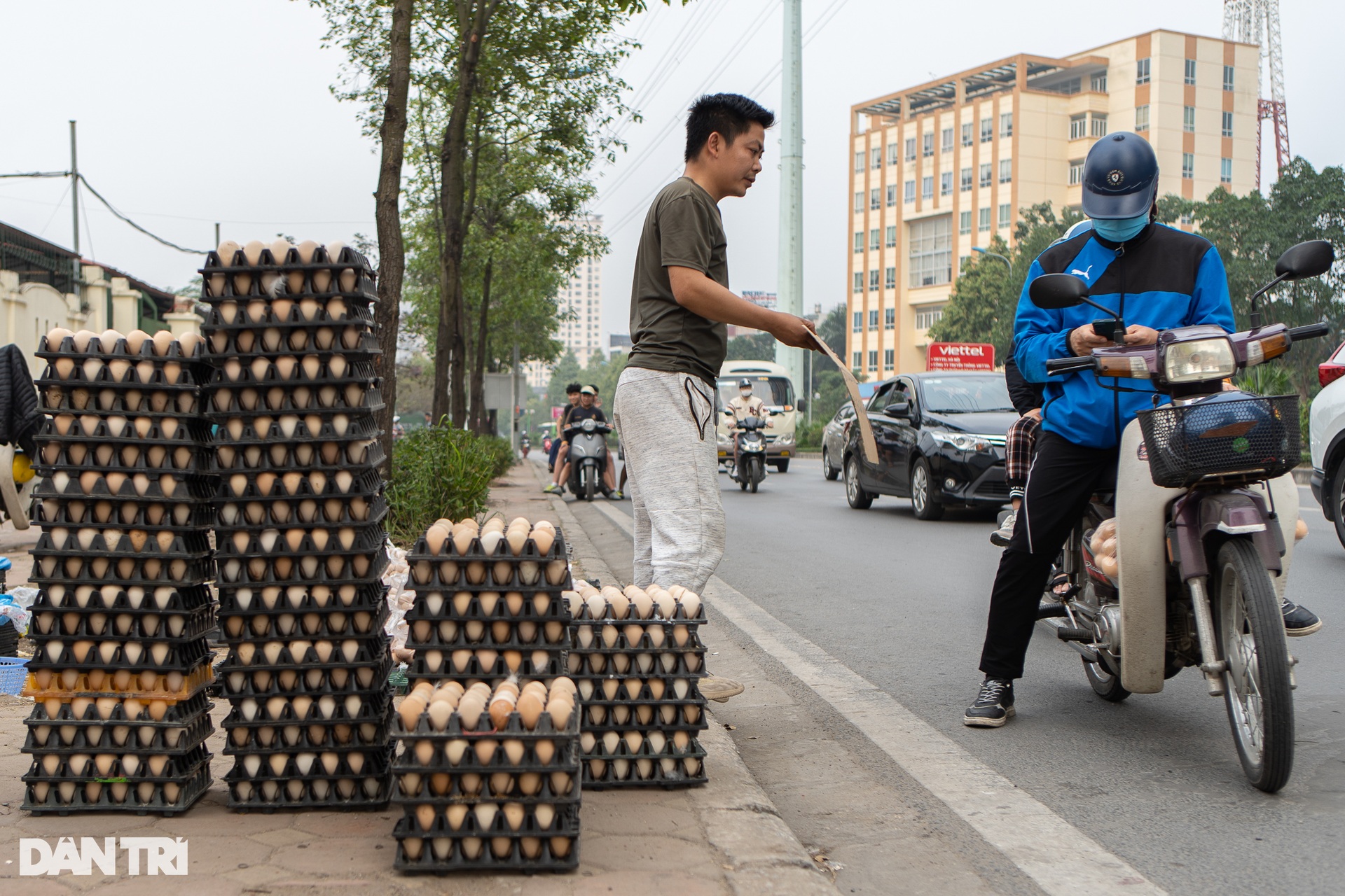 Sự thật chiêu giải cứu trứng gà giá siêu rẻ bán tràn vỉa hè Hà Nội - 13