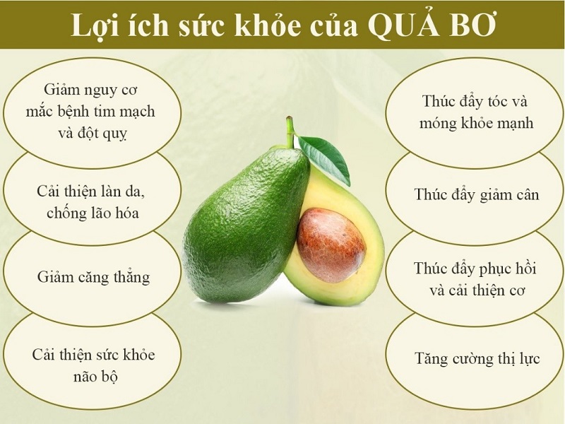 Một số tác dụng chính của quả bơ