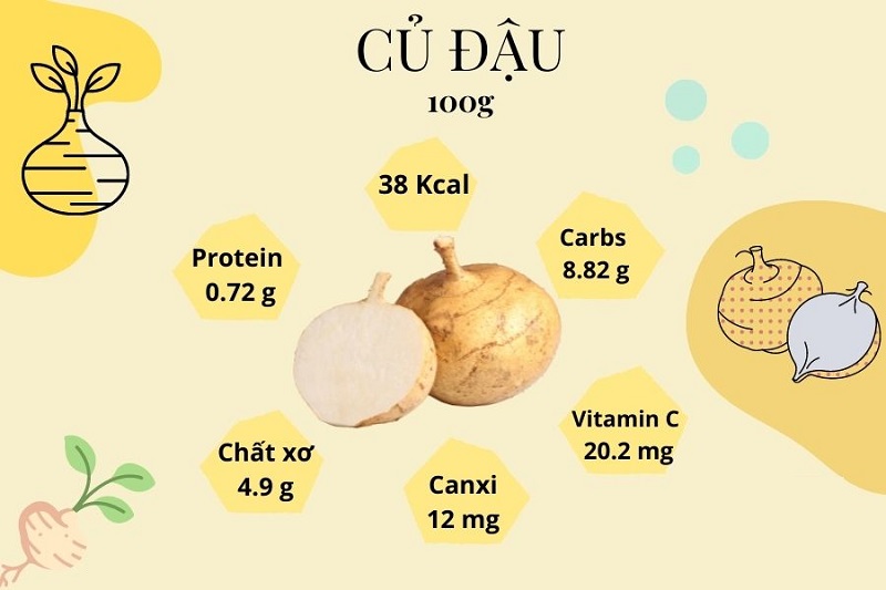 Thành phần dinh dưỡng có trong 100g củ đậu