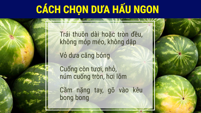 Hướng dẫn chọn dưa hấu ngon