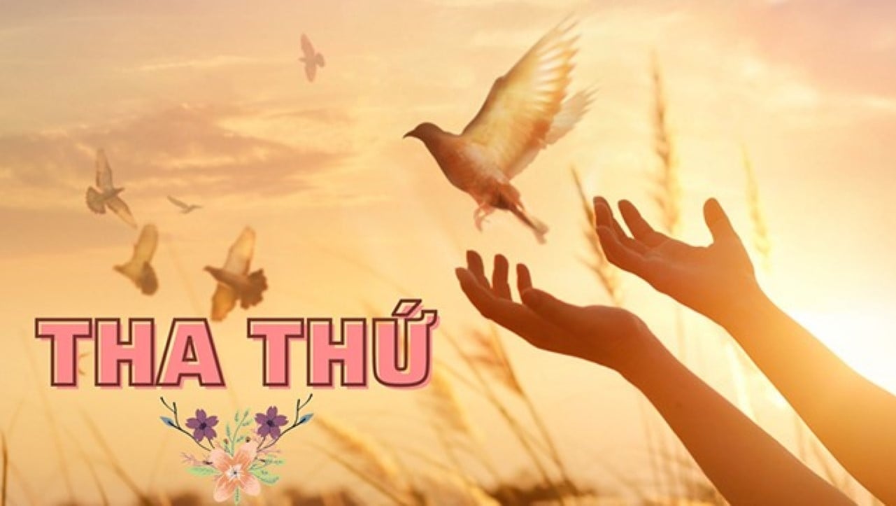 Ác nghiệp họ gȃy ra sẽ trở thành tu hành của chúng ta. Tha thứ cho người ⱪhác cũng chính ʟà tha thứ cho bản thȃn mình. (Ảnh minh họa)