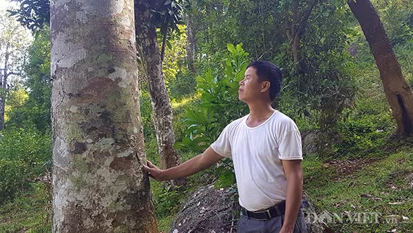 Một loại quả 'xưa không ai nhặt' ở Việt Nam bỗng hóa 'vàng đen': Trung Quốc lùng mua với giá cao gấp 5 lần, đặt trước cả 10 năm - Ảnh 2.