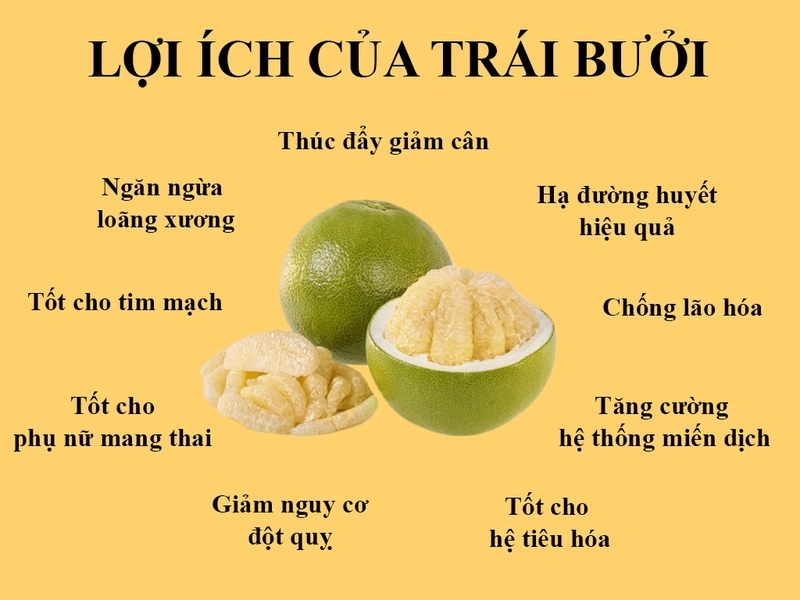 ăn bơ có tác dụng gì 1