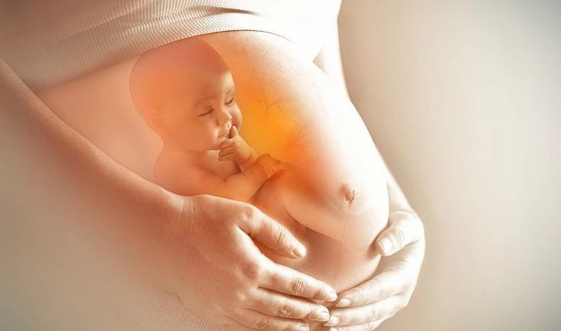 Rau mồng tơi có tác dụng gì và lưu ý khi ăn 4