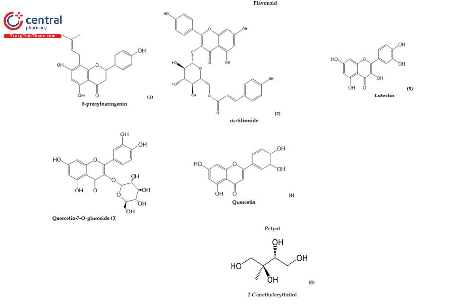 Một số alkaloid chính trong Bìm bìm