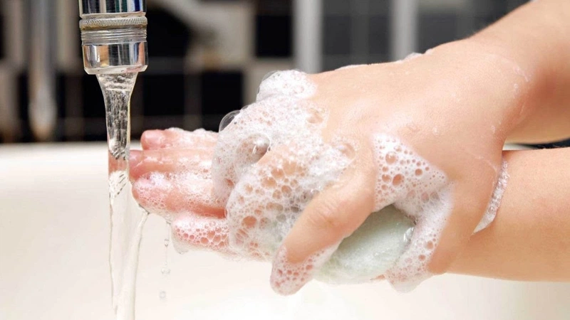 Mách bạn các bài thuốc dân gian trị bệnh sán chó hiệu quả bất ngờ 5