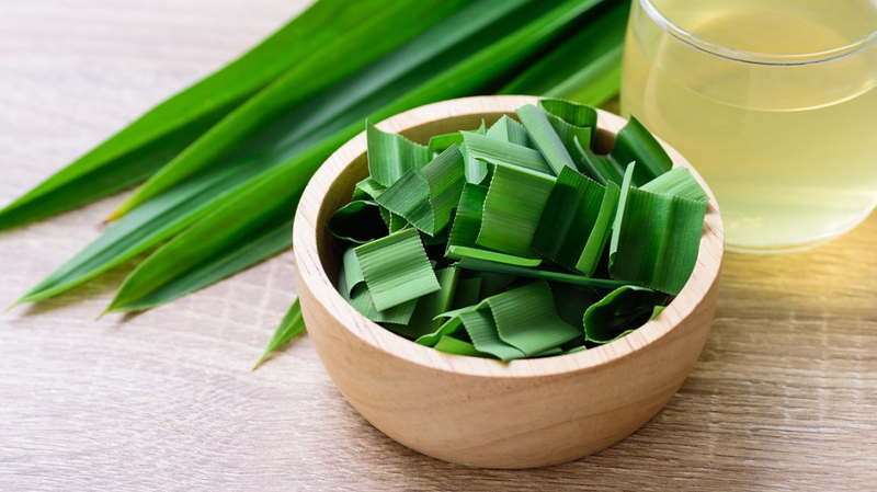 Những tác dụng thần kỳ của lá dứa với bệnh tiểu đường 2