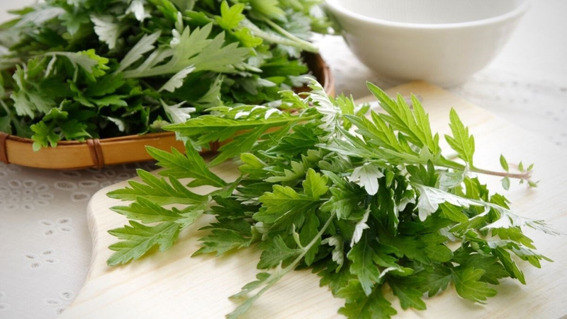 Rau ngải cứu và những công dụng tuyệt vời 1