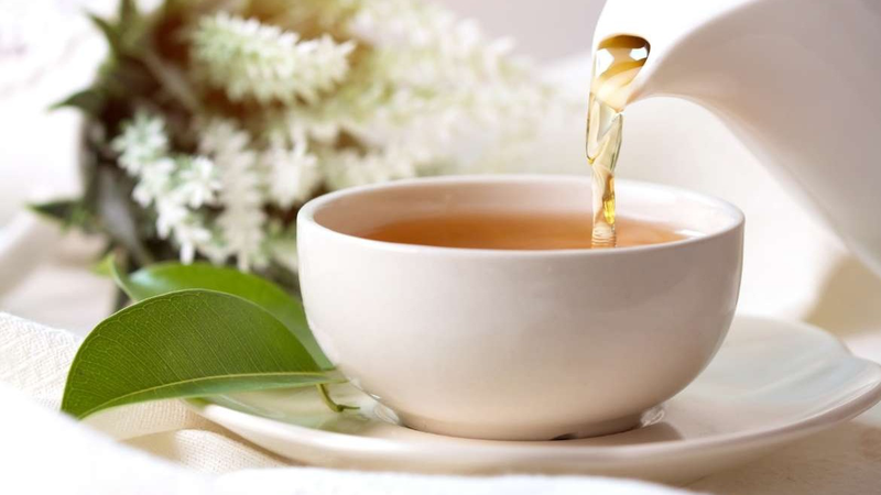 Uống lá muồng trâu có tác dụng gì? Một số bài thuốc từ lá muồng trâu 3