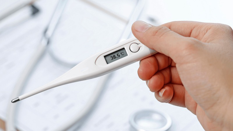 Uống nước cây sài đất có tác dụng hạ cơn sốt