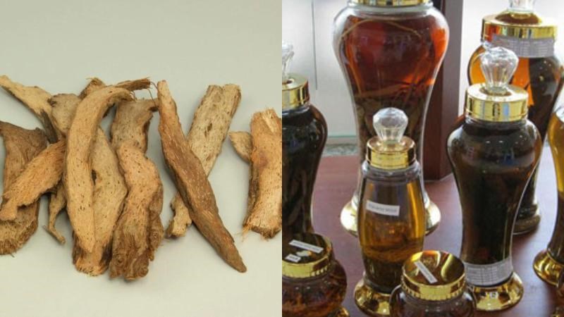 Rượu ngâm thiên niên kiện có tác dụng bổ xương khớp