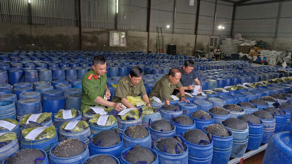 Nghệ An triệt phá ổ sản xuất 3.500 tấn giá đỗ ngâm hóa chất "nước kẹo" có thể gây xơ phổi- Ảnh 2.