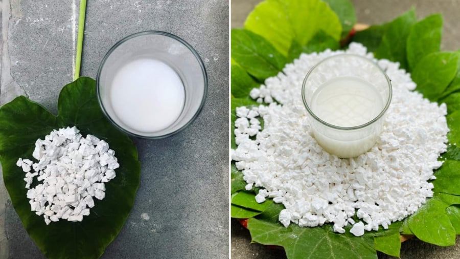 Bột sắn dây mang lại nhiều lợi ích cho sức khỏe nhưng cần biết cách sử dụng để tránh tác dụng phụ.