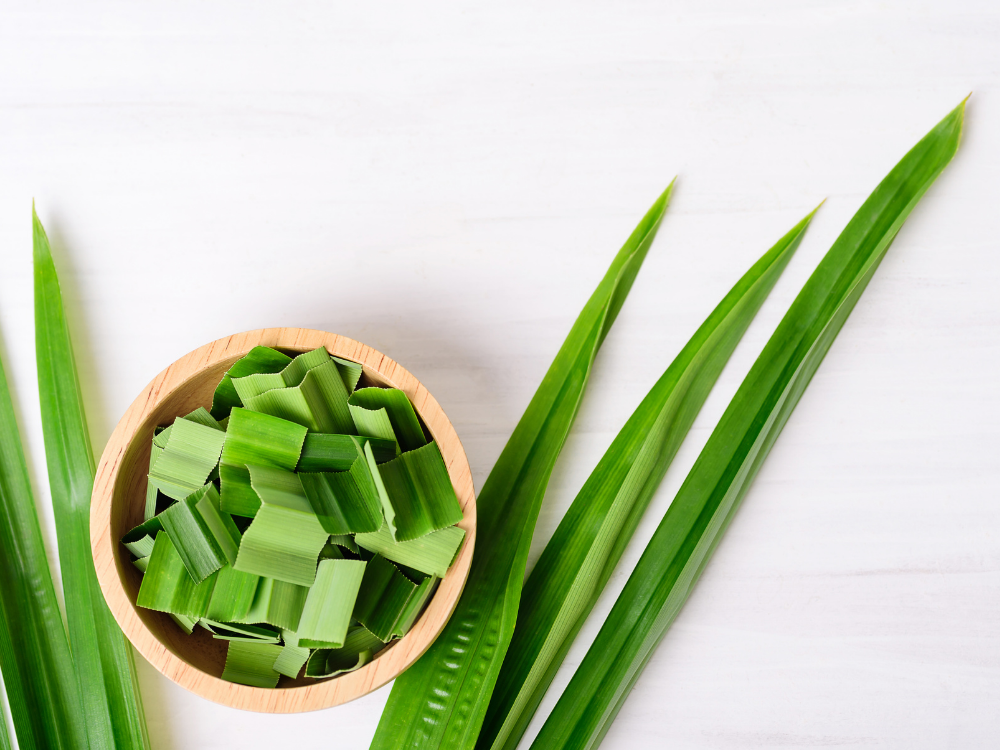 Khám phá 7 lợi ích sức khoẻ của cây lá dứa