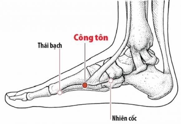 huyệt công tôn, huyệt hoàng đế
