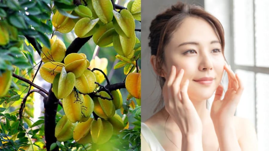 Lá khế giúp trị mụn nhọt