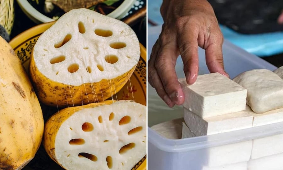 Nên chọn mua những củ sen có các đốt to tròn và ngắn vì chúng béo, bùi, hương vị thơm ngon hơn. 