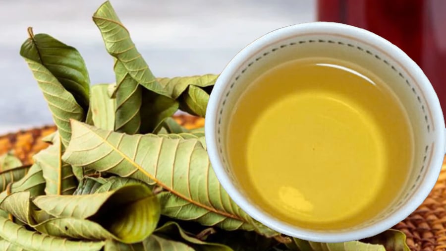 Nước lá ổi mang lại nhiều lợi ích cho sức khỏe nếu sử dụng hợp lý.