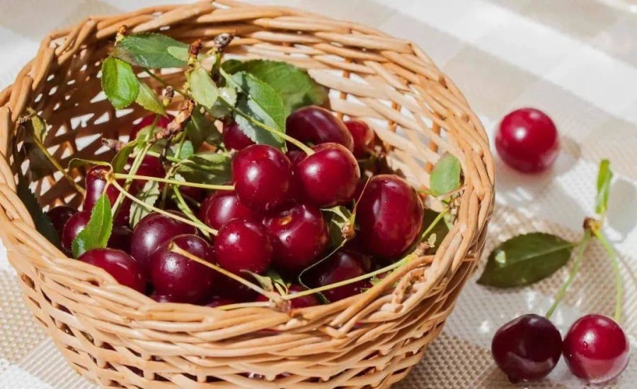 qua-cherry