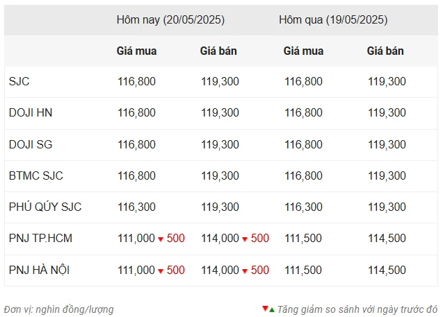 Giá vàng ngày 20/5: Vàng miếng SJC duy trì ở mức 119,3 triệu đồng/lượng ảnh 1