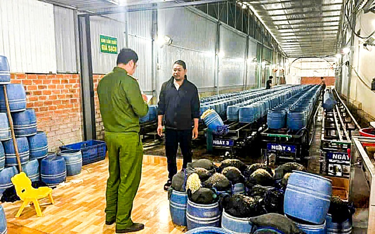 Công an Nghệ An bắt 4 người sản xuất 3.500 tấn giá đỗ 'ngậm' hóa chất - Ảnh 3.