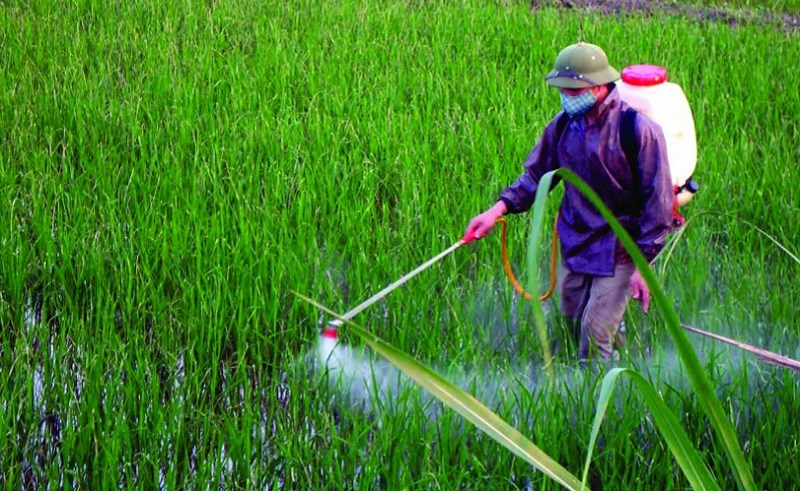 Sử dụng các chất kích thích