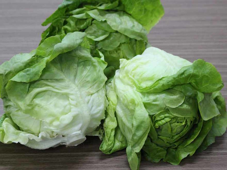 Xà lách là một trong các loại rau dễ nhiễm hóa chất và ký sinh trùng.