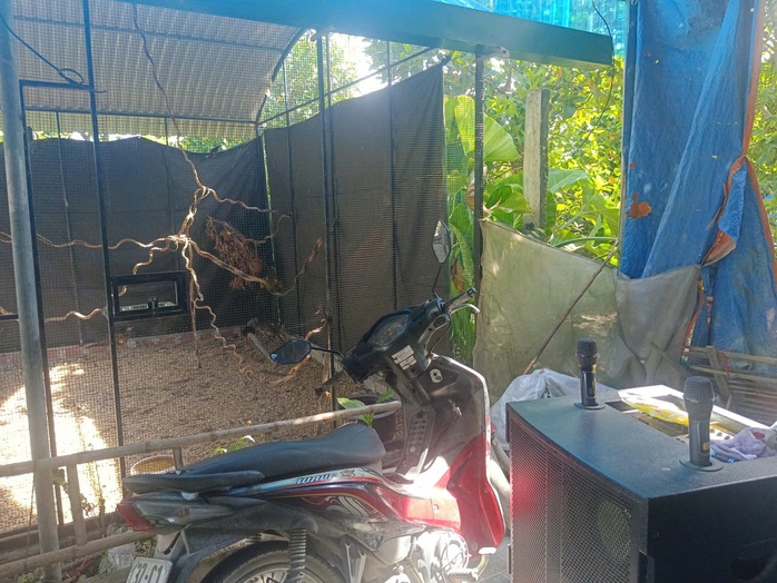 Vụ nuôi bán 13 con gà lôi trắng lĩnh án 6 năm tù: Cố gắng trở thành công dân tốt - Ảnh 2.