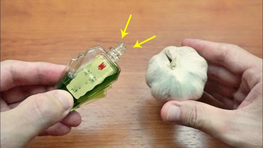 Trộn tỏi với dầu gió giúp ᵭuổi muỗi rất tṓt.