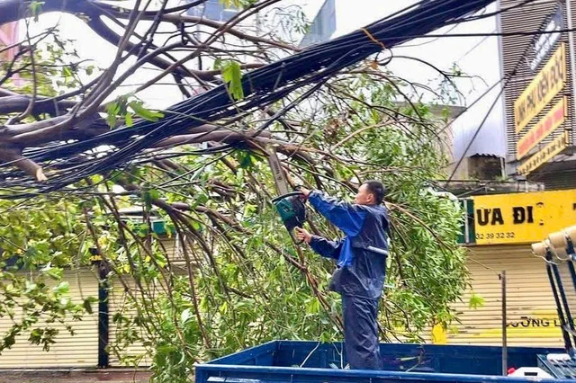 Bão Bualoi: Bí thư thôn bị cây đè chết khi đi trực bão - Ảnh 1.