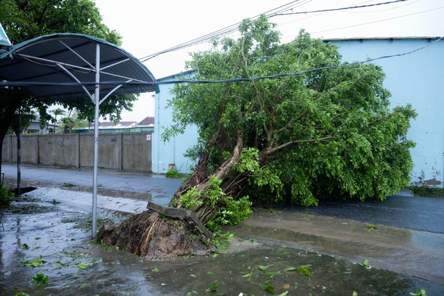 Thiệt hại nặng nề do bão số 10 Bualoi: Đã ghi nhận nhiều thương vong, mặc dù suy yếu nhưng hoàn lưu còn rất mạnh- Ảnh 7.