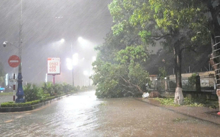 Thiệt hại nặng nề do bão số 10 Bualoi: Đã ghi nhận nhiều thương vong, mặc dù suy yếu nhưng hoàn lưu còn rất mạnh- Ảnh 26.