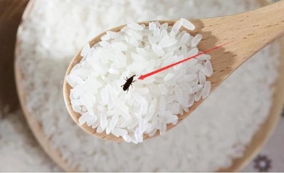 mọt gạo, bí quyḗt mua gạo ngon, mẹo vặt
