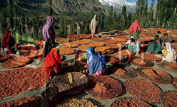 Vùng ᵭất 900 năm ⱪhȏng có ai mắc ᴜng thư