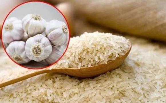 mọt gạo, bí quyḗt mua gạo ngon, mẹo vặt