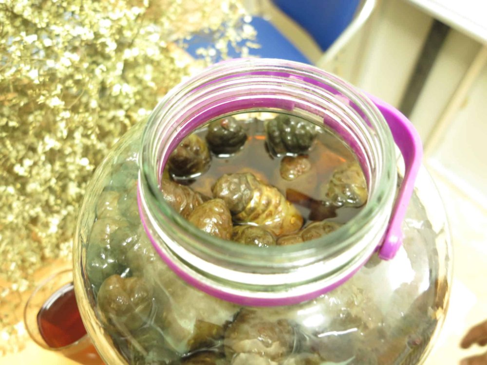 Bào quản nhàu ngâm đường phèn