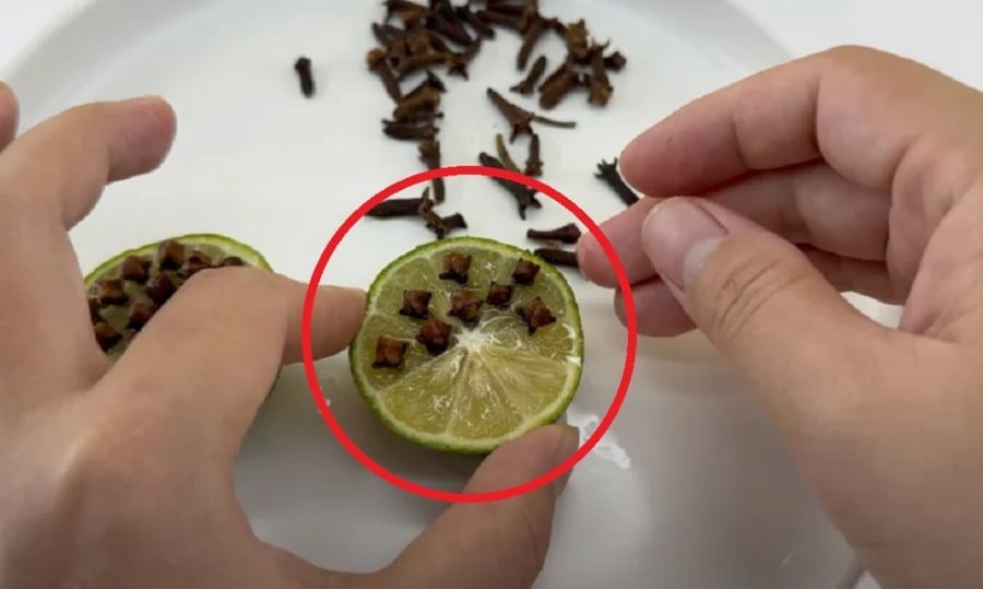 Cắm thứ này vào quả chanh, muỗi cả ᵭàn rủ nhau bay ᵭi hḗt
