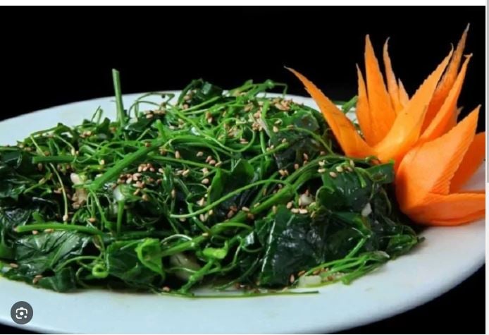 Nhờ những thành phần quý giá, giảo cổ lam có rất nhiều công dụng đối với sức khỏe