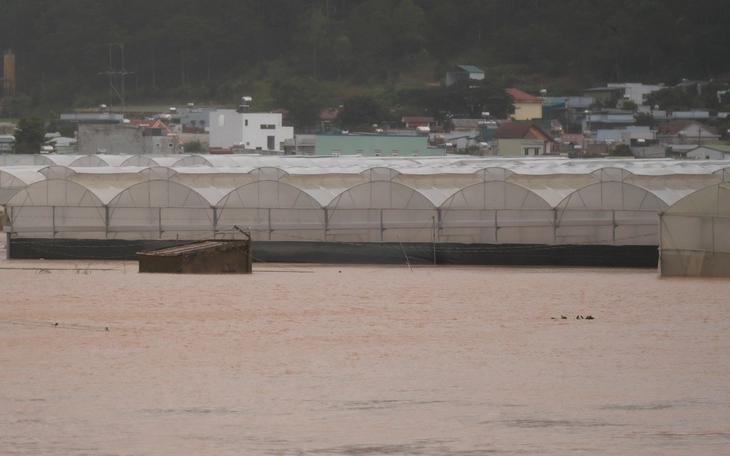 Lũ lụt miền Trung khiến ít nhất 50 người chết, mất tích - Ảnh 3.