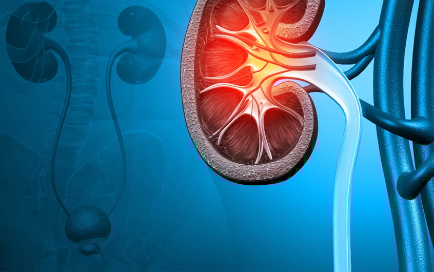 8 biểu hiện của suy thận nếu bỏ qua có thể phải chạy thận cả đời: Đặc biệt số 2 dễ nhận biết