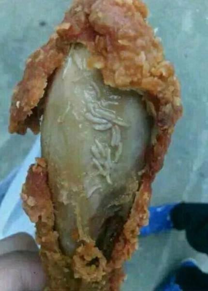 Gà KFC đầy dòi lúc nhúc