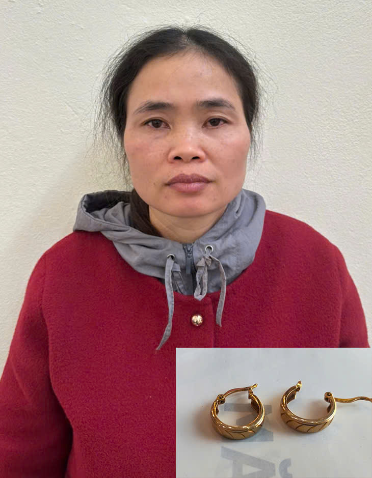 Cháu dâu sát hại bà rồi cướp đôi bông tai - Ảnh 2.